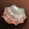 Pandora Bracelets, lineage 2 p.critical rate, lineage 1 vs 2